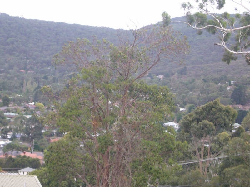 7 Bruce Crescent, Ferntree Gully VIC 3156