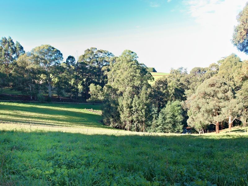 167 Red Road, Gembrook VIC 3783