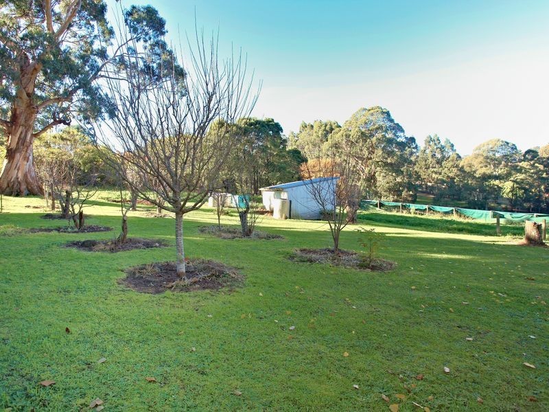 167 Red Road, Gembrook VIC 3783