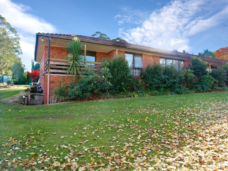 167 Red Road, Gembrook VIC 3783