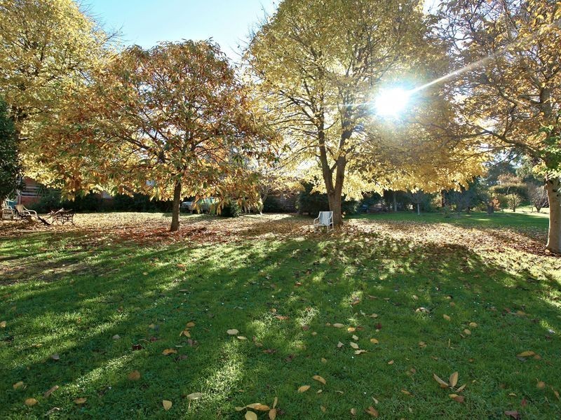 167 Red Road, Gembrook VIC 3783