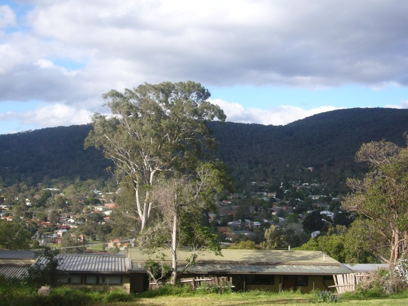 13 Bruce Crescent, Ferntree Gully VIC 3156