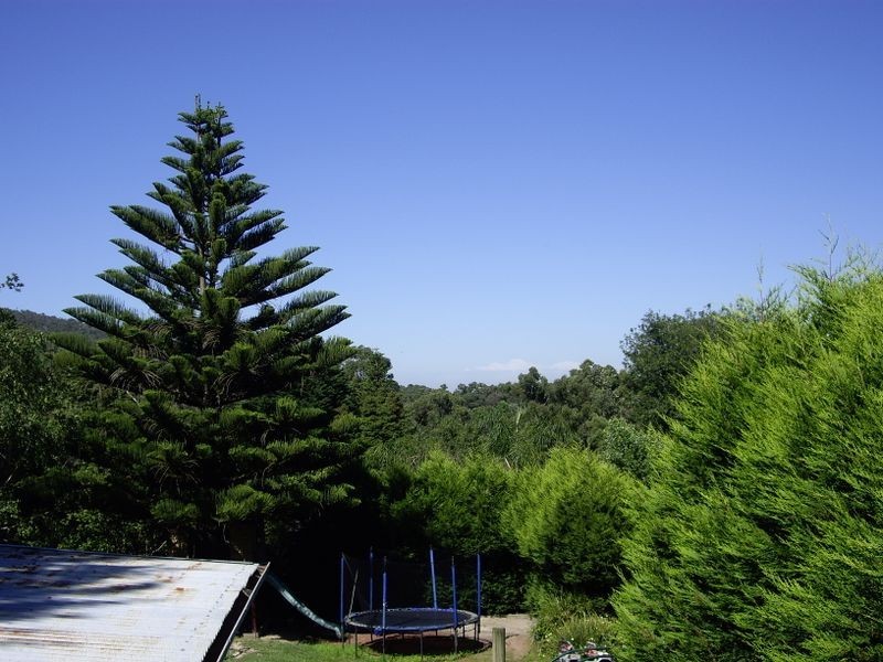 1250 Mountain Highway, The Basin VIC 3154