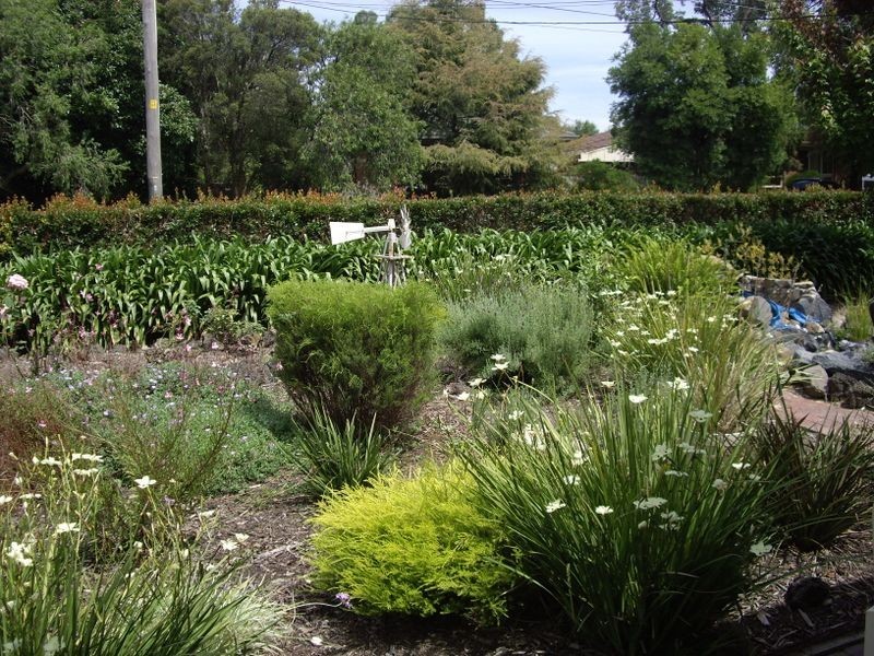 41 Herbert Street, Boronia VIC 3155