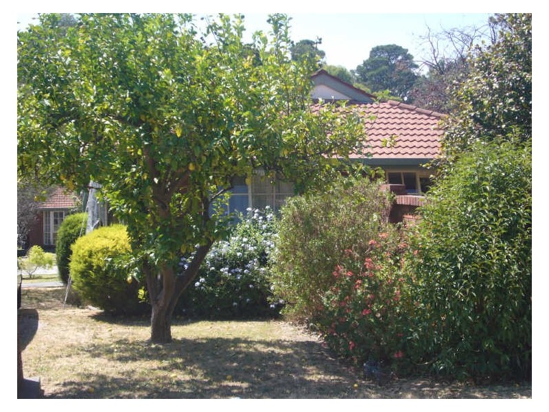 1/3 Bambury Street, Boronia VIC 3155