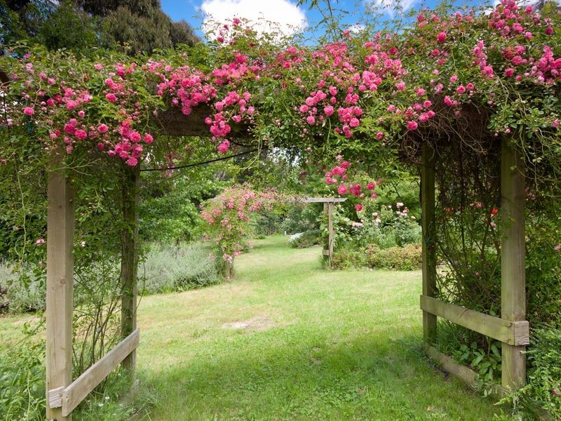 21 Cheniston Road, Mount Macedon VIC 3441