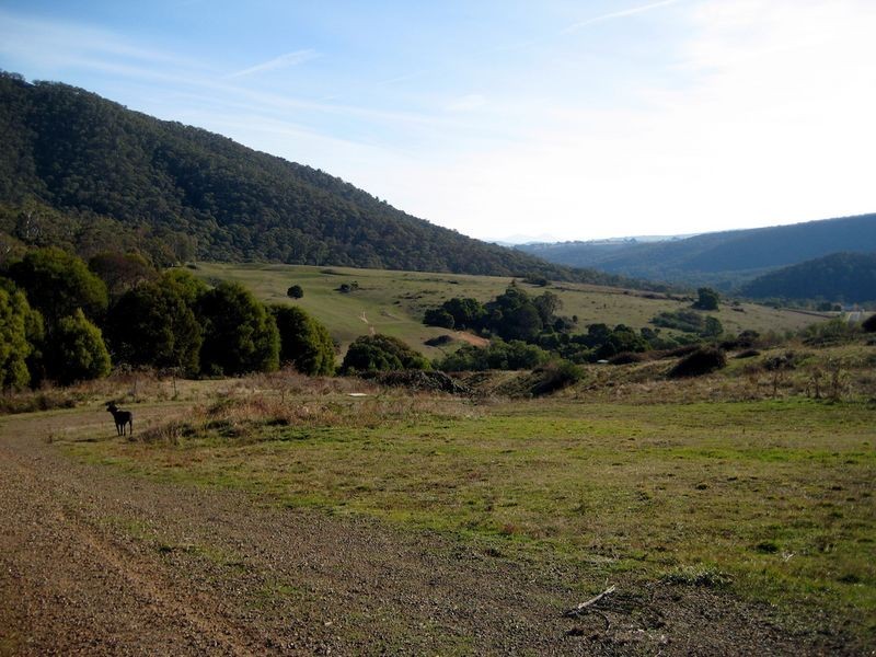 18 Lightwood Court, Merrijig VIC 3723