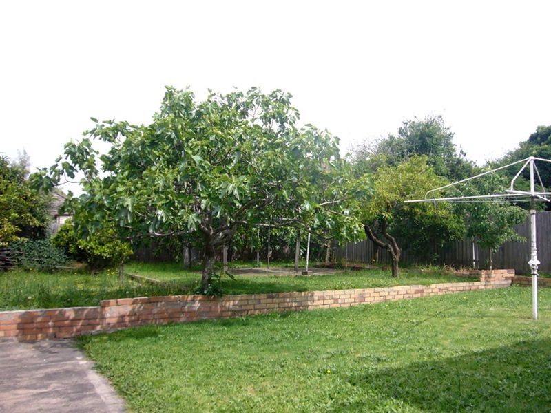 51 Evelyn Street, Clayton VIC 3168