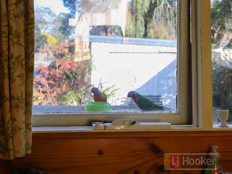 11 Kleinert Road, Boronia VIC 3155