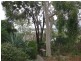 42 Robertson Crescent, Boronia VIC 3155