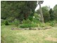 16 Tulip Cresscent, Boronia VIC 3155