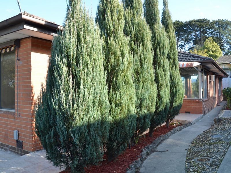 6 Heatherdale Road, Mitcham VIC 3132
