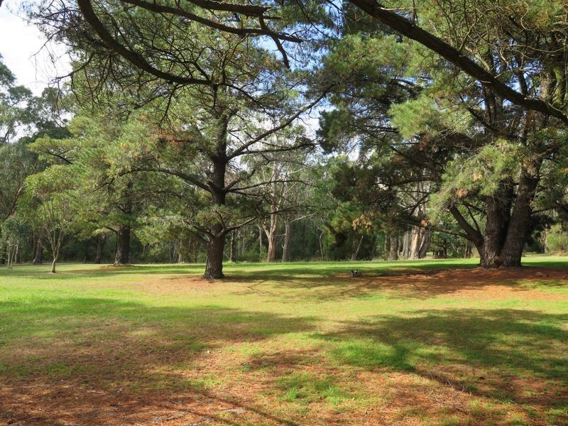 3 Melaleuca Drive, Upwey VIC 3158