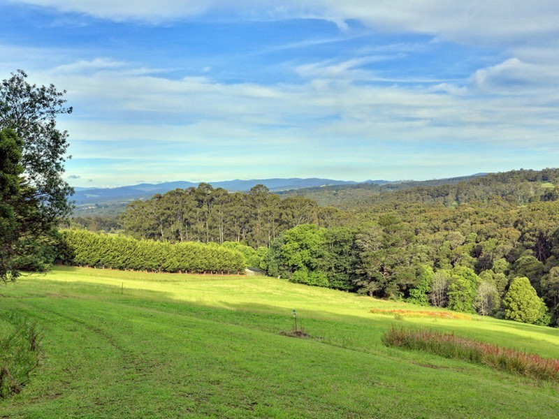 24 Avon Road, Avonsleigh VIC 3782