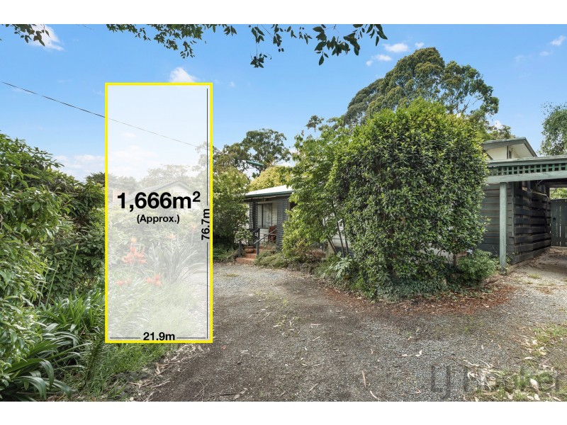19 Augusta Road, The Basin VIC 3154