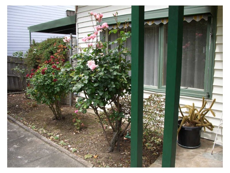 1/39 The Avenue, Ferntree Gully VIC 3156