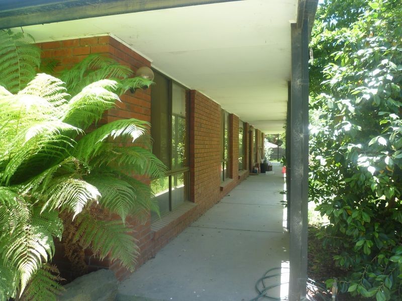 25 Collison Road, Cranbourne VIC 3977