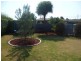 6 Orlit Close, Cranbourne VIC 3977