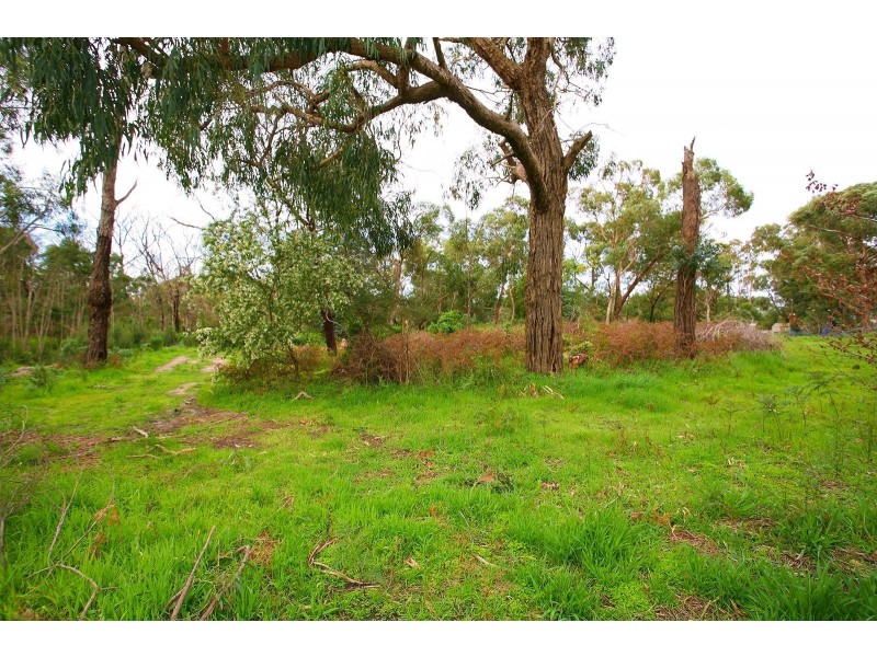 22 Currawong Grove, Cannons Creek VIC 3977