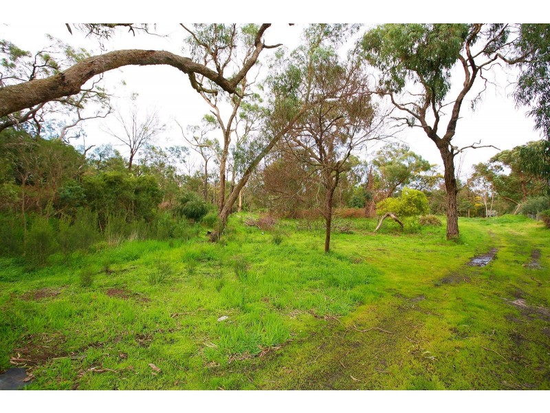 22 Currawong Grove, Cannons Creek VIC 3977