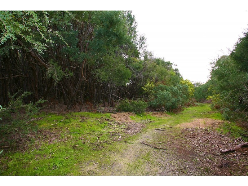 20 Currawong Grove, Cannons Creek VIC 3977