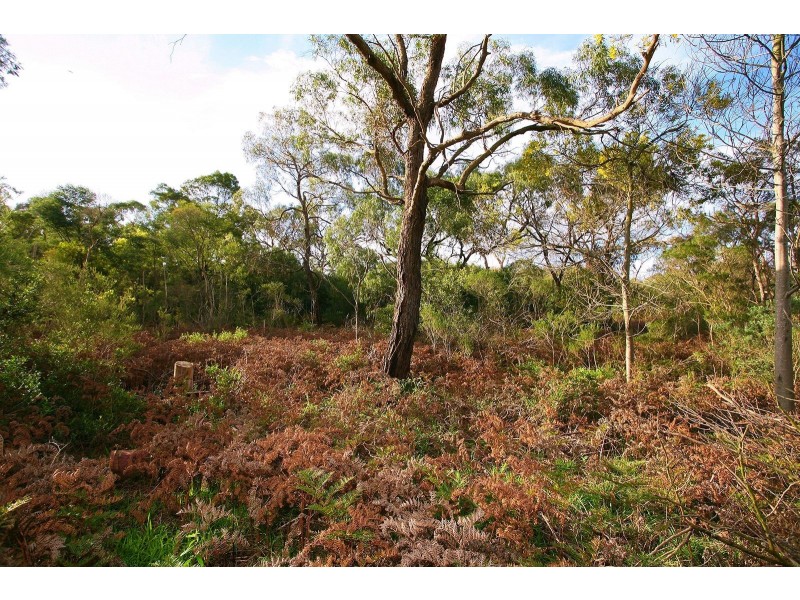 20 Currawong Grove, Cannons Creek VIC 3977