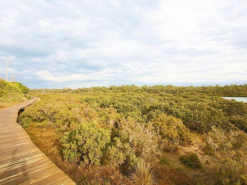 20 Currawong Grove, Cannons Creek VIC 3977