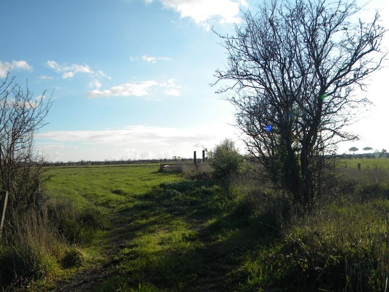 605 Dalmore Road, Cardinia VIC 3978