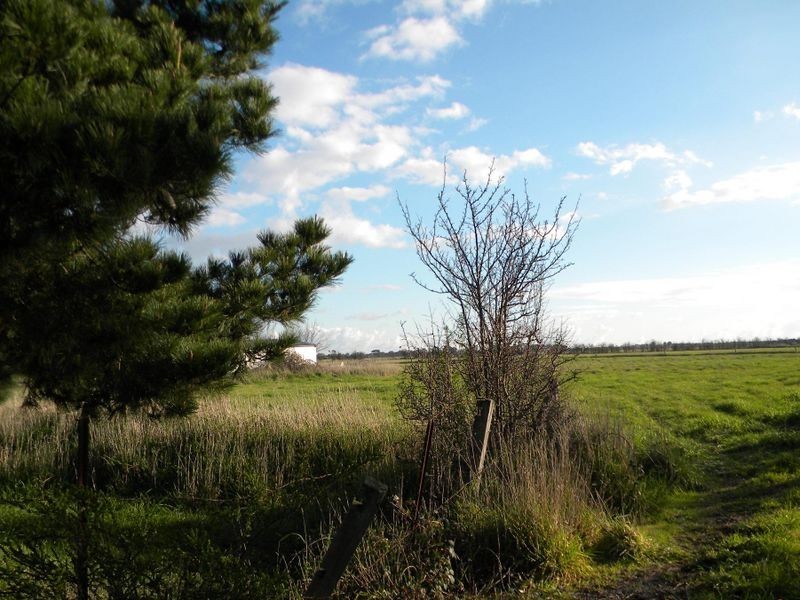 605 Dalmore Road, Cardinia VIC 3978