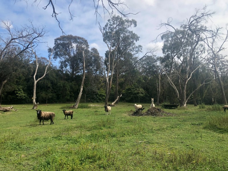 143-145 Browns Road, Cranbourne South VIC 3977