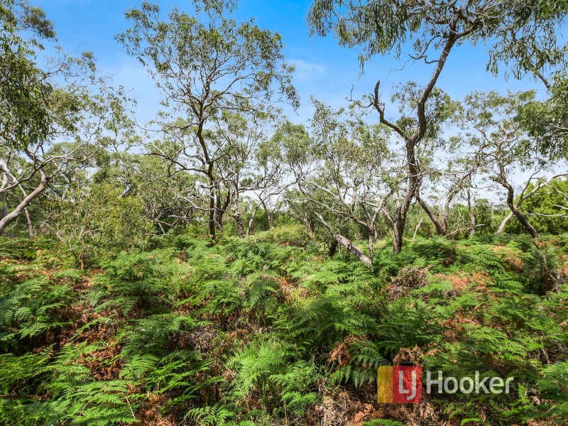 22 Currawong Grove, Cannons Creek VIC 3977
