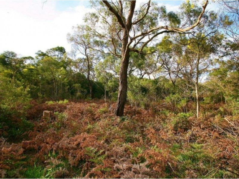 6 Albatross Court, Cannons Creek VIC 3977