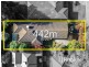 36 Sunnyside Drive, Berwick VIC 3806