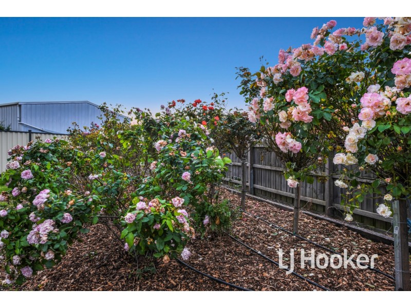 13 South Anderson Court, Cranbourne VIC 3977