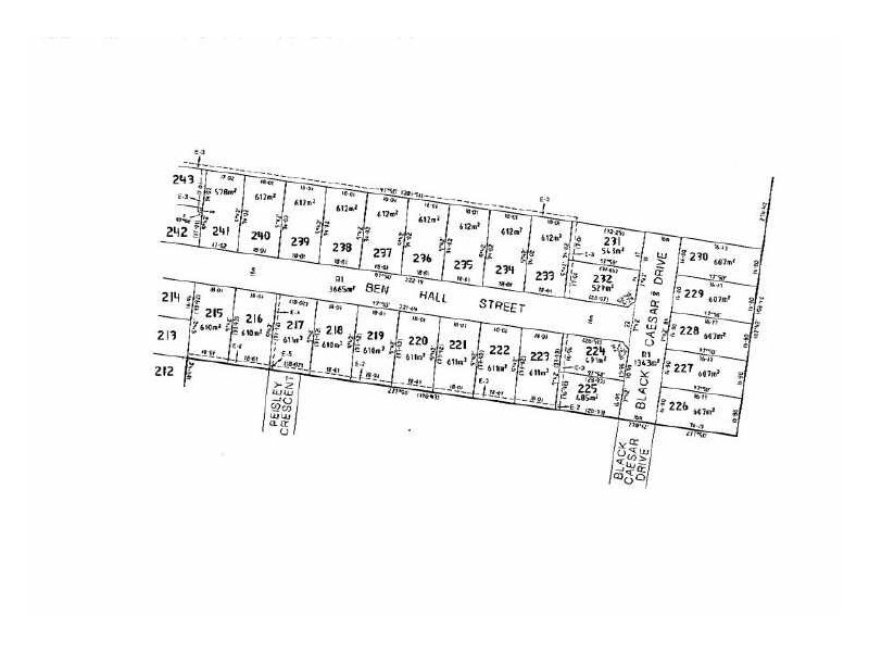 Lot 225 Black Ceasar Drive, Cranbourne East VIC 3977