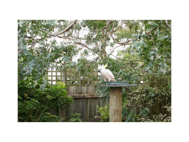 4 Iris Court, Cranbourne North VIC 3977