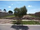 Lot 832 Phoenix Avenue, Cranbourne East VIC 3977