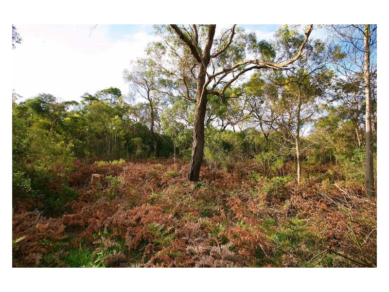 20 Currawong Grove, Cannons Creek VIC 3977