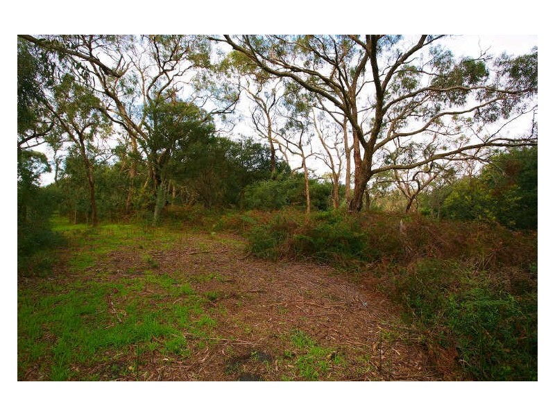 22 Currawong Grove, Cannons Creek VIC 3977
