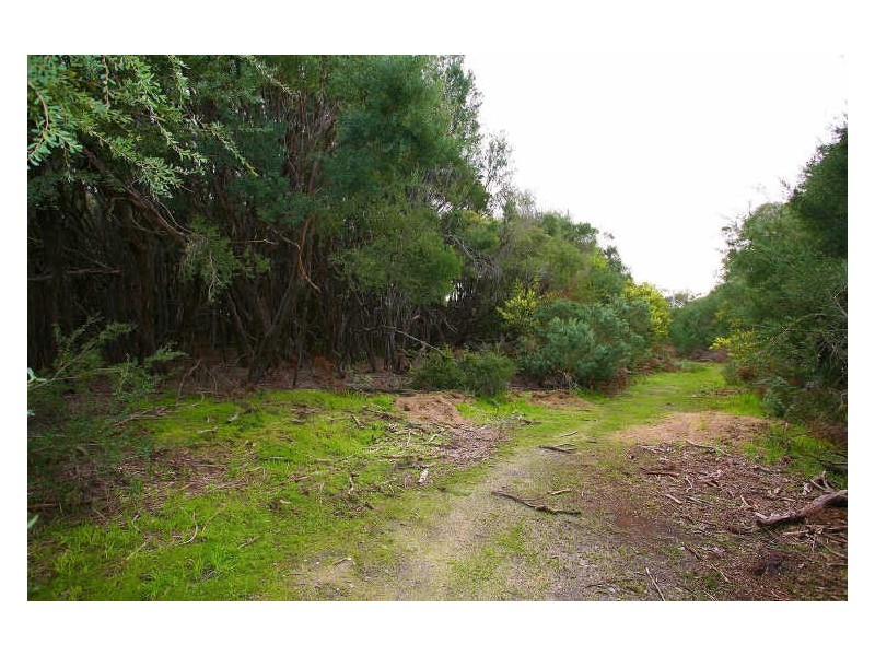 22 Currawong Grove, Cannons Creek VIC 3977