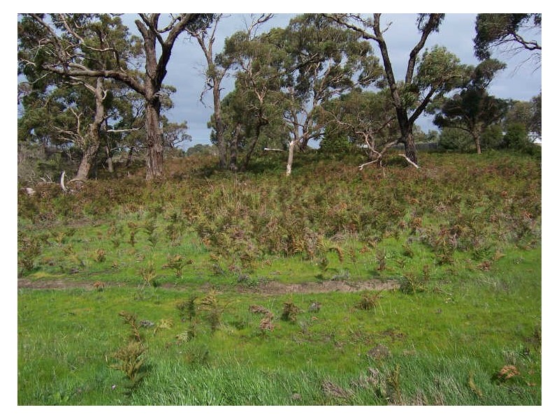 1/ Daly Avenue, Cannons Creek VIC 3977