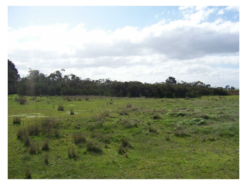 2/ Cannons Creek Road, Cannons Creek VIC 3977