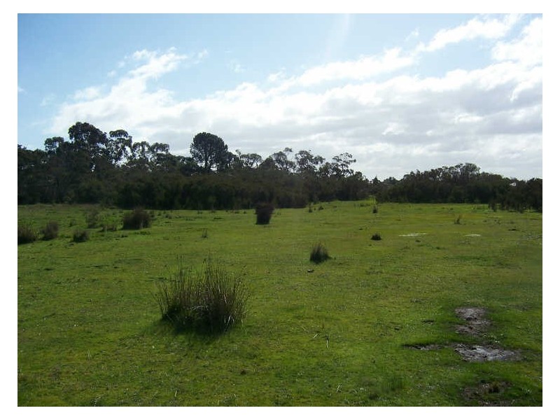 2/ Cannons Creek Road, Cannons Creek VIC 3977