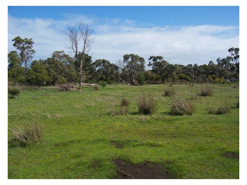 3/ Cannons Creek Road, Cannons Creek VIC 3977