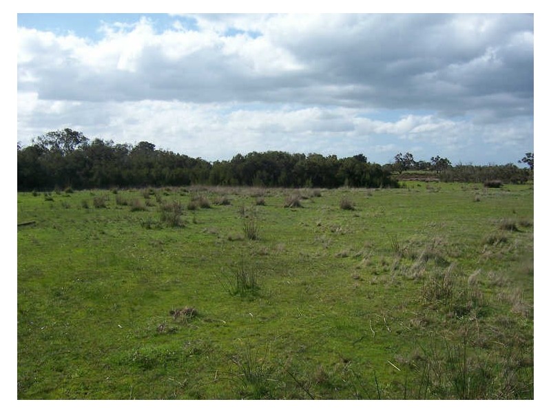 3/ Cannons Creek Road, Cannons Creek VIC 3977