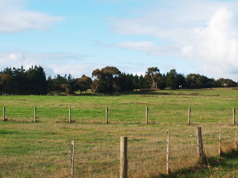 Lang Lang VIC 3984