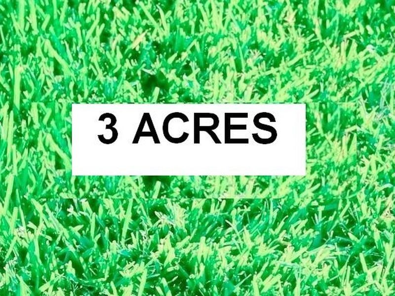 Clyde North VIC 3978