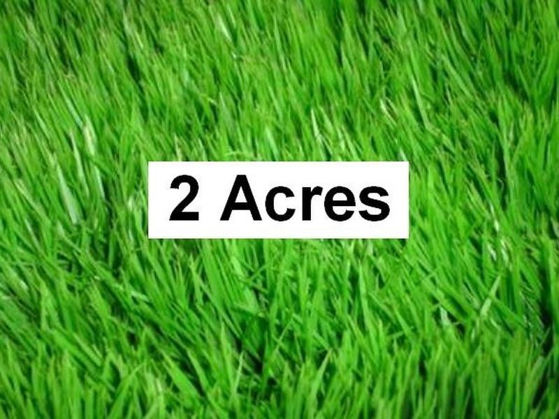 Cranbourne East VIC 3977