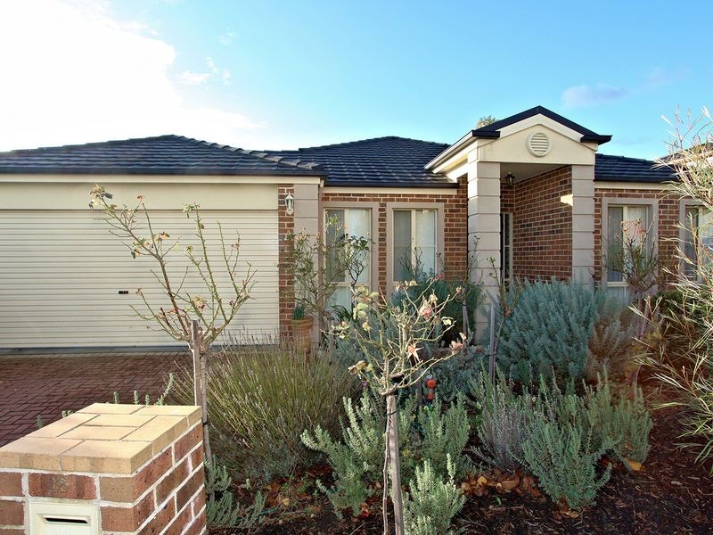 16 Turella Close, Berwick VIC 3806