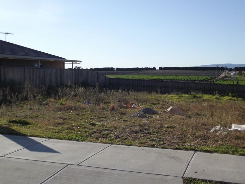 24 Springmount Street, Cranbourne North VIC 3977